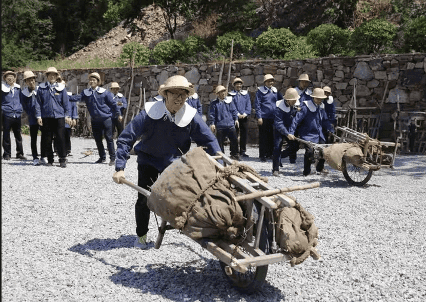 体验教学